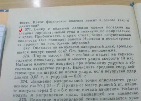 Фото приколы а не грибы