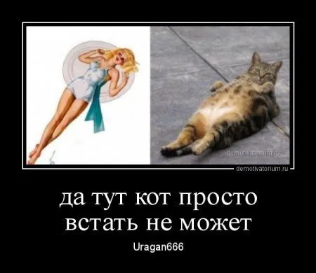 Демотиваторы