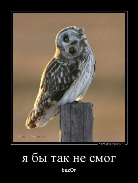Демотиваторы