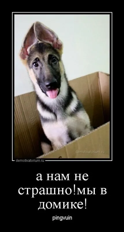 Демотиваторы