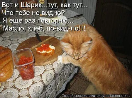 Котоматрица. Ноябрь, давай улыбнёмся