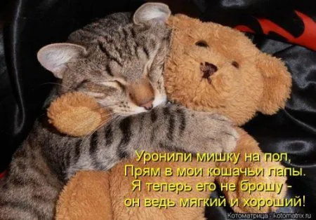 Посмотри котомашки - зарядись позитивом