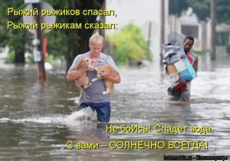 Посмотри котомашки - зарядись позитивом