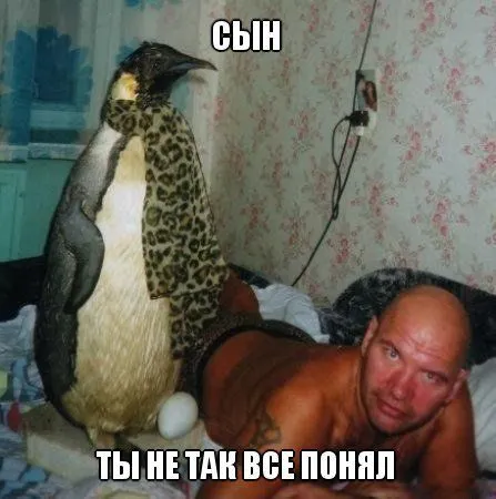 Нет политики, приколы есть