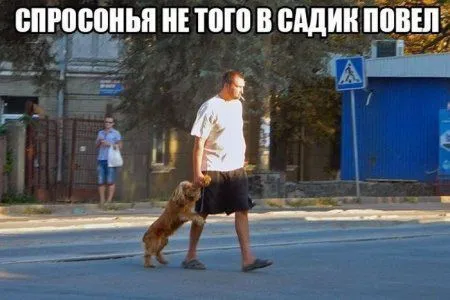 Нет политики, приколы есть