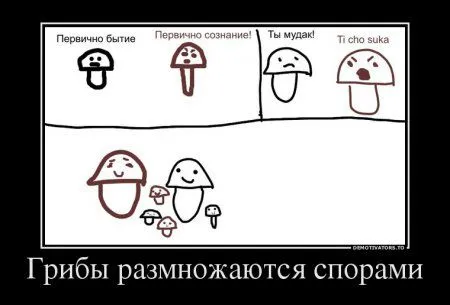 Демотиваторы приколы