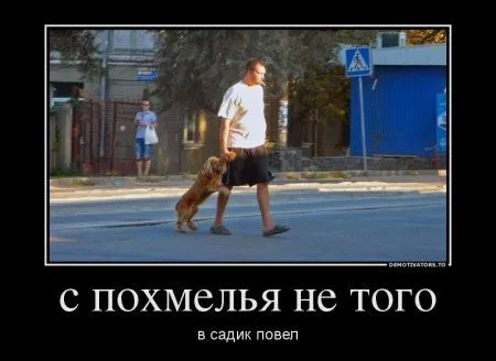 Демотиваторы приколы