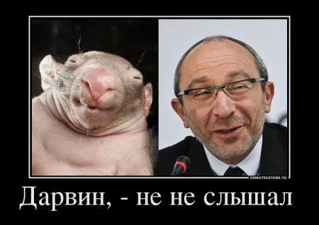 Демотиваторы приколы