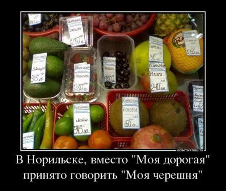 Демотиваторы приколы