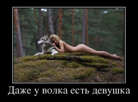 Демотиваторы приколы