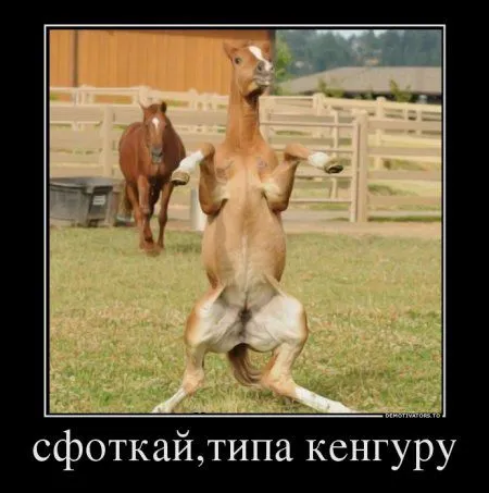 Демотиваторы приколы