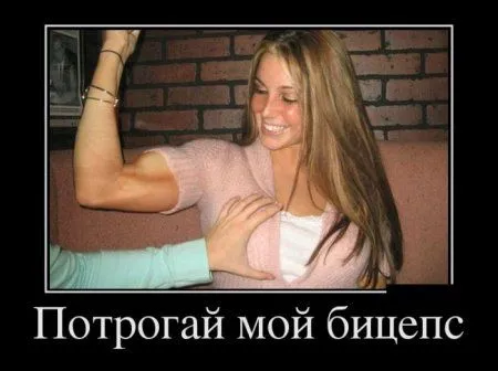 Любимые, как всегда, демотиваторы