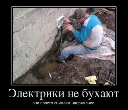 Любимые, как всегда, демотиваторы