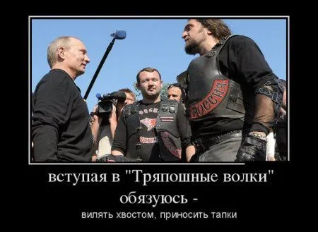 Любимые, как всегда, демотиваторы