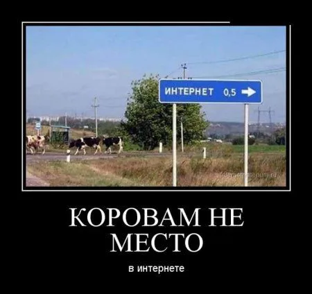 Любимые, как всегда, демотиваторы