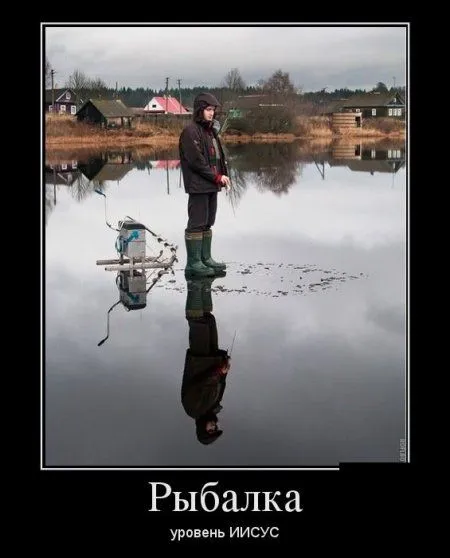 Любимые, как всегда, демотиваторы