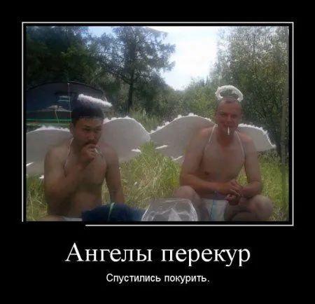 Любимые, как всегда, демотиваторы