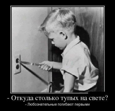 Любимые, как всегда, демотиваторы