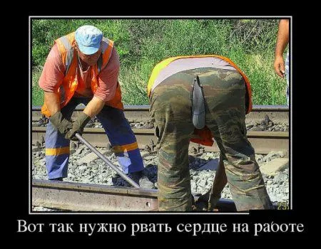 Любимые, как всегда, демотиваторы