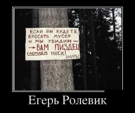 Любимые, как всегда, демотиваторы