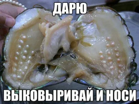 С миру по Фото и новая подборка фото приколов получится