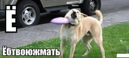 Современная азбука Современная азбука
