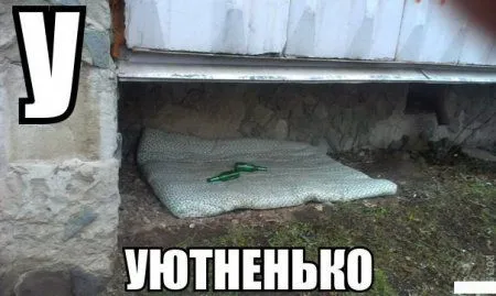 Современная азбука Современная азбука