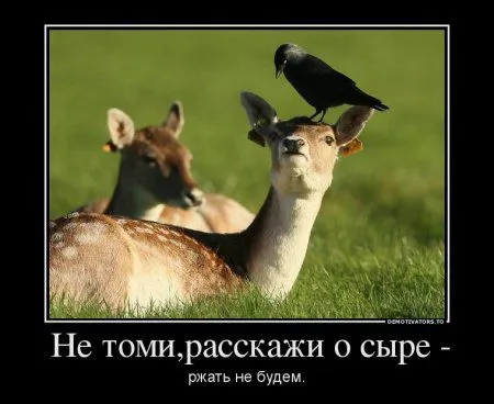 Демотиваторы только позитив. Демотиваторы только позитив.