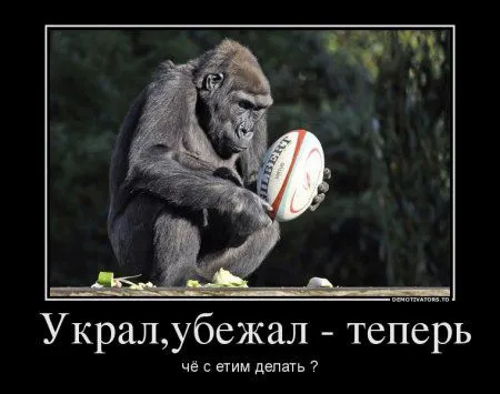 Демотиваторы только позитив. Демотиваторы только позитив.