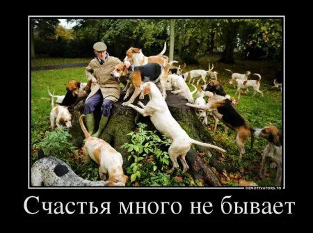 Демотиваторы только позитив. Демотиваторы только позитив.