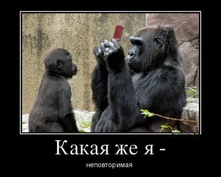 Демотиваторы только позитив. Демотиваторы только позитив.