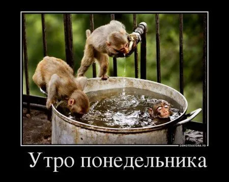Демотиваторы только позитив. Демотиваторы только позитив.