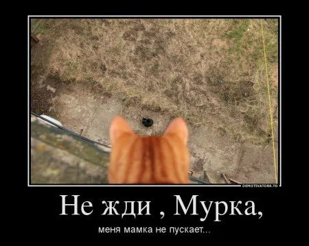 Демотиваторы только позитив. Демотиваторы только позитив.