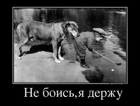 Демотиваторы только позитив. Демотиваторы только позитив.