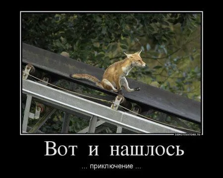 Демотиваторы только позитив. Демотиваторы только позитив.