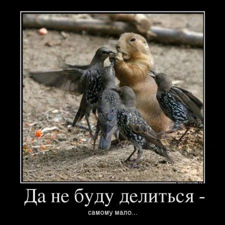 Демотиваторы только позитив. Демотиваторы только позитив.