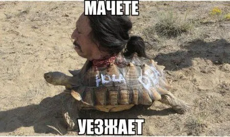 Картинки и фото приколы Картинки и фото приколы