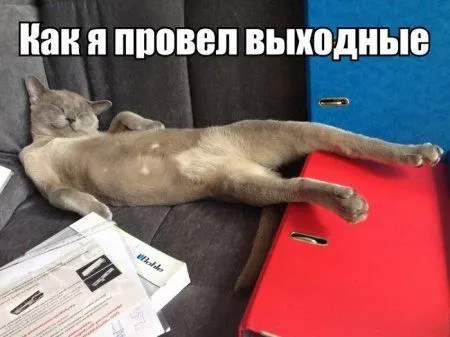 Фото делаются только прикольные