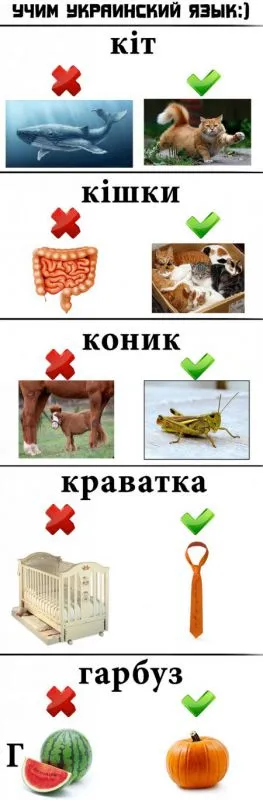 Фото делаются только прикольные