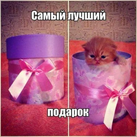 Только свежие приколы и только здесь