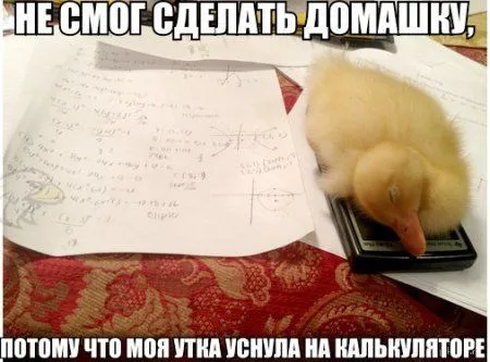 Только свежие приколы и только здесь