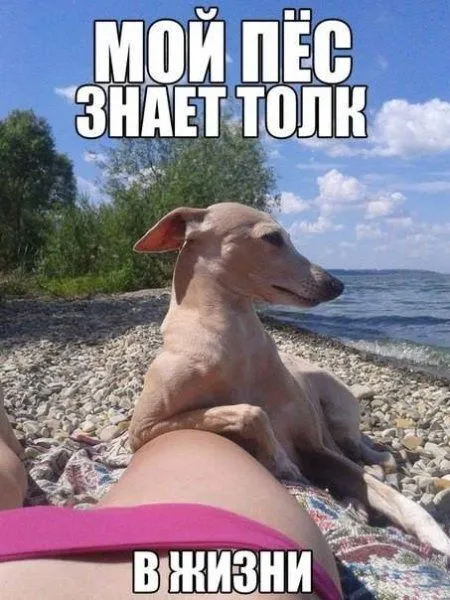 Только свежие приколы и только здесь