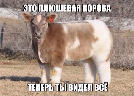 Только свежие приколы и только здесь