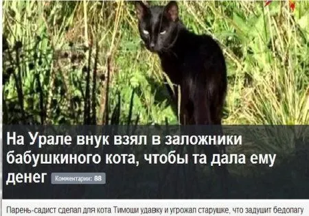 Только свежие приколы и только здесь