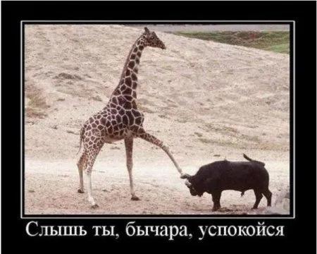 Нуждаешься в фотоприколах? Тогда смотри... Нуждаешься в фотоприколах? Тогда смотри...
