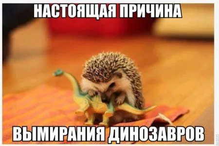 Просто хорошие приколы и картинки