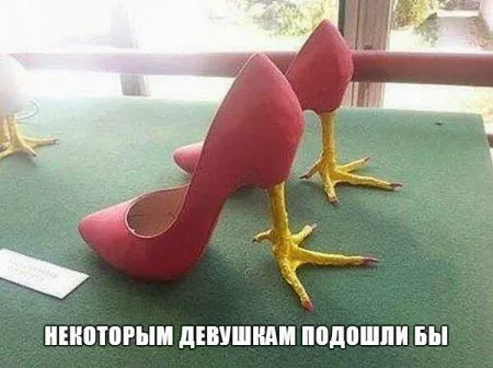 Прикольные картинки как всегда Прикольные картинки как всегда