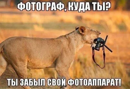 Прикольные картинки как всегда Прикольные картинки как всегда