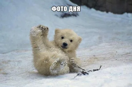 Прикольные картинки как всегда Прикольные картинки как всегда