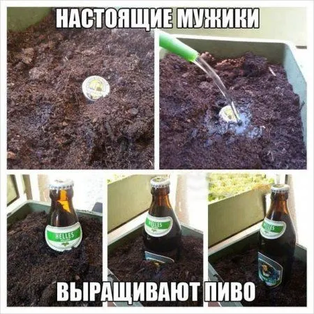 Картинки прикольные. Улыбка не помешает вам